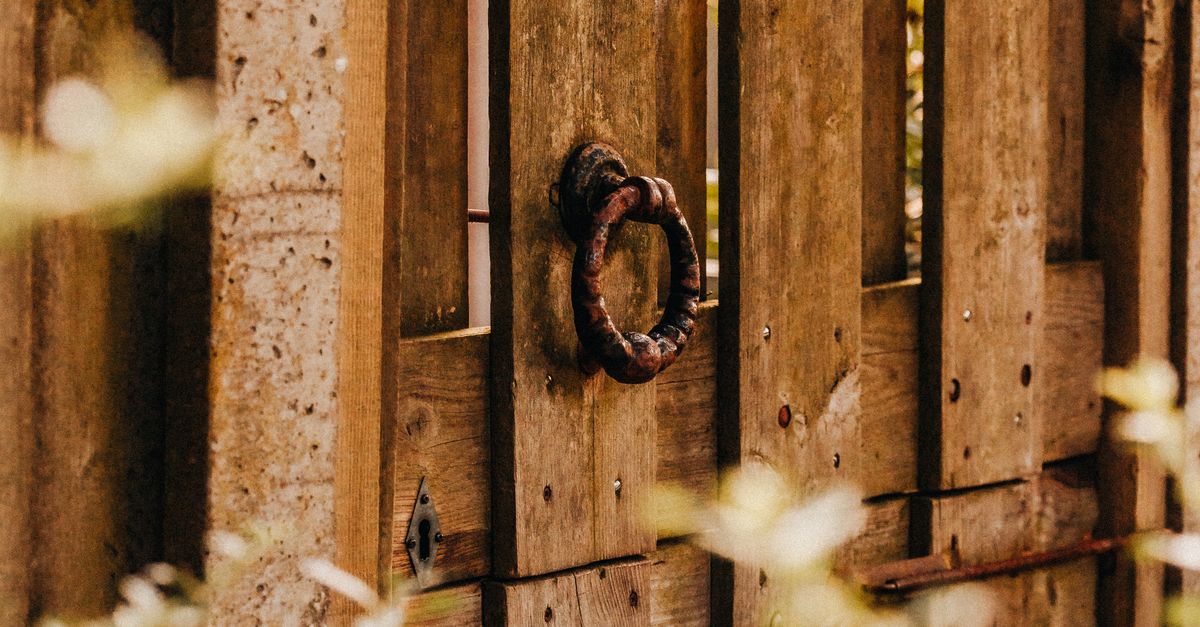 Choosing the Right Treatment for Softwood Fencing