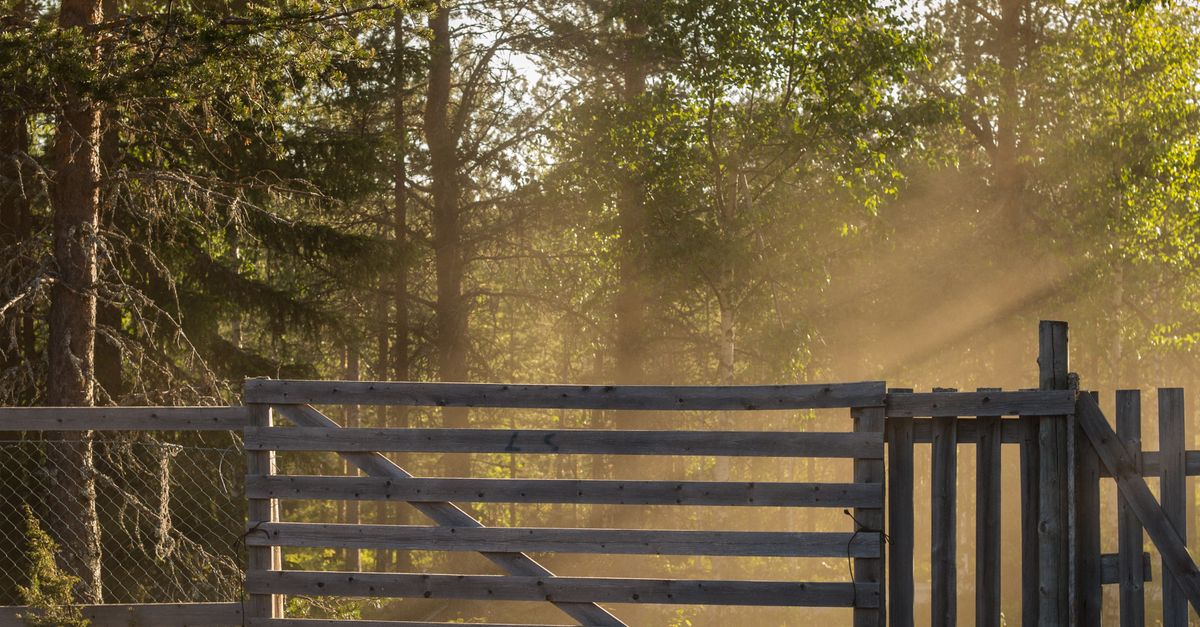 Common Issues Found During Regular Timber Fence Inspections