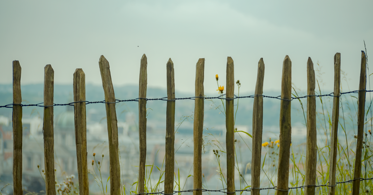 Comparing Durability: Hardwood vs Softwood Fencing