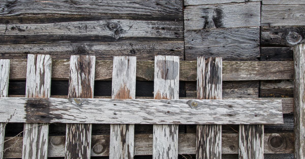 Customising Your Lap Fencing: Finishes and Styles
