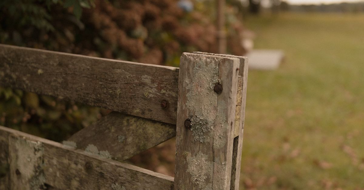 Enhancing Curb Appeal with Softwood Fence Designs