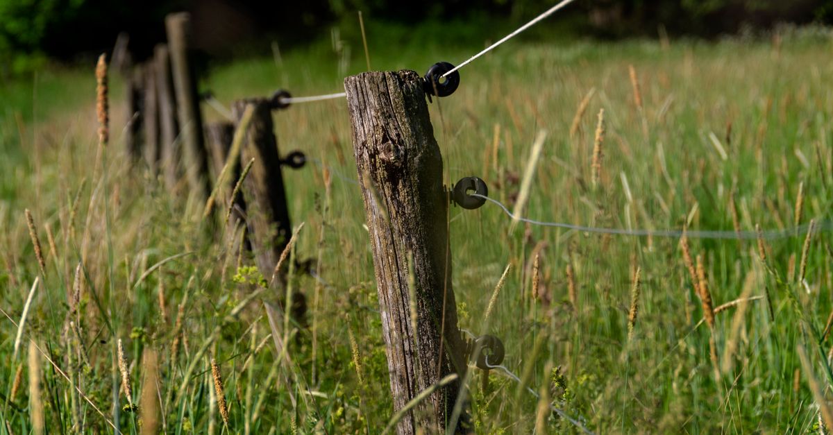 Essential Steps for Successful Timber Fencing Installation