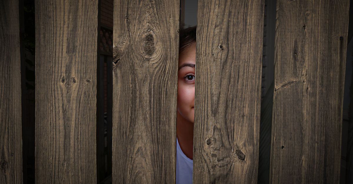 How Often Should You Clean and Stain Your Timber Fence