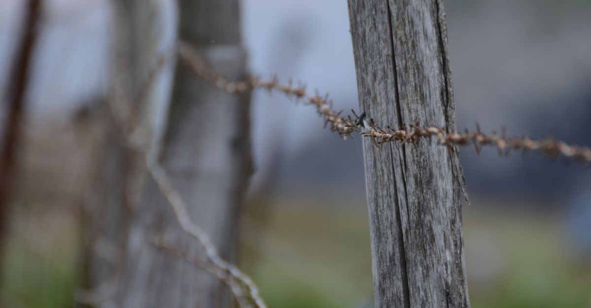 Overview of Paling Fencing for Australian Gardens