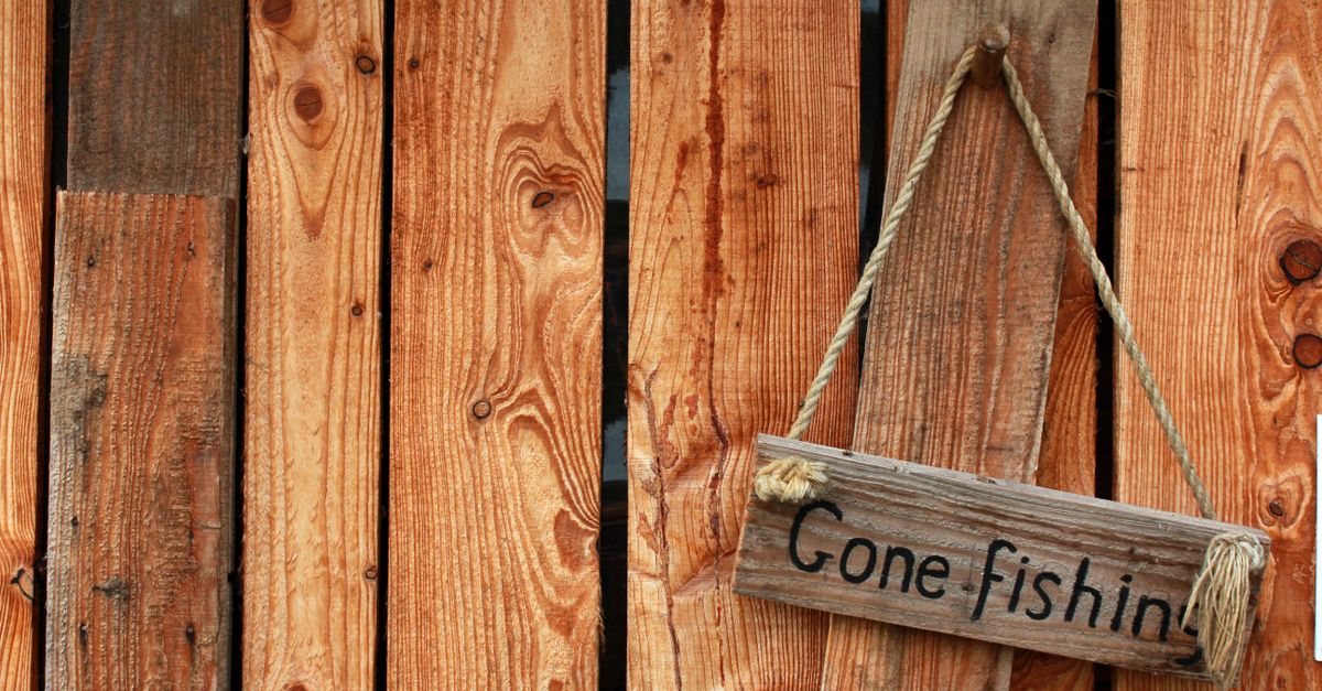 Popular Hardwood Species for Fencing in Australia