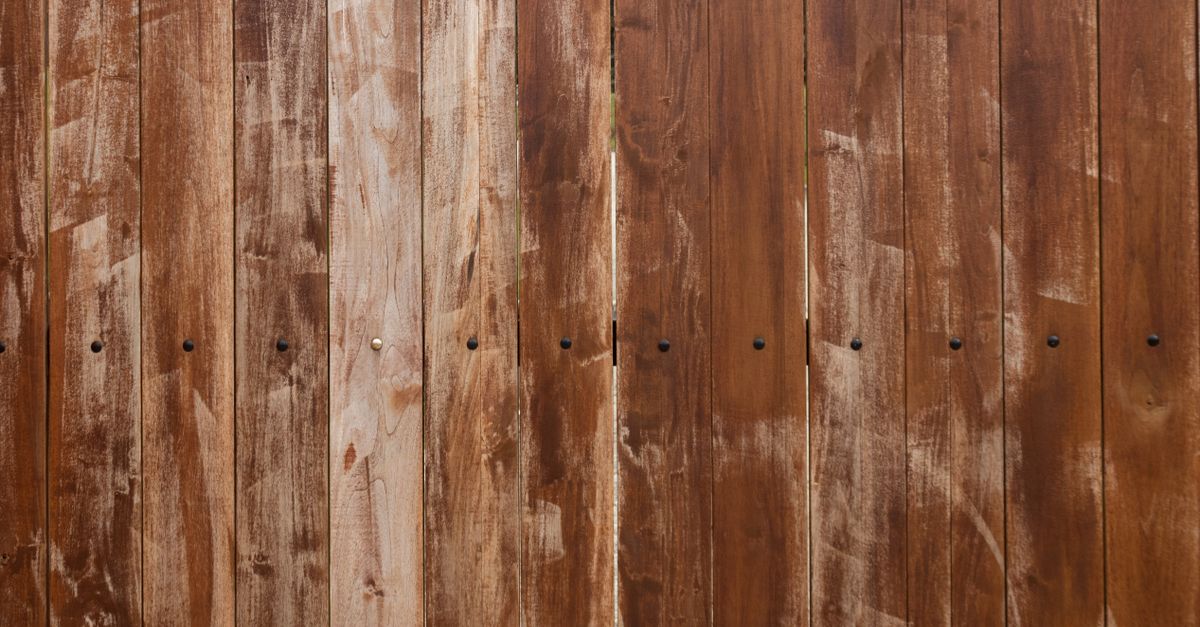 Popular Softwood Species for Fencing in Australia