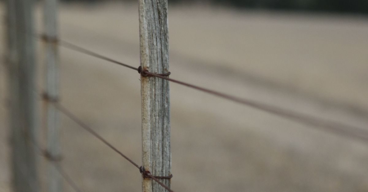 Understanding the Lifespan of Timber Fencing and Upkeep Needs