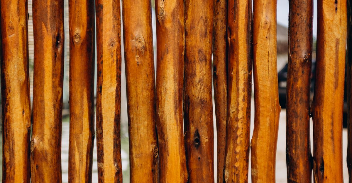 Upkeeping Your Timber Fence During Seasonal Changes